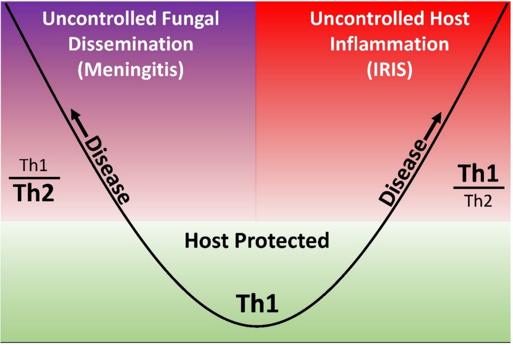 JoF_MDPI's tweet image. A review entitled “#Diagnosis and Management of Central #Nervous System #Cryptococcal Infections in HIV-Infected Adults” from Caleb Skipper et al.

View full text at mdpi.com/2309-608X/5/3/…