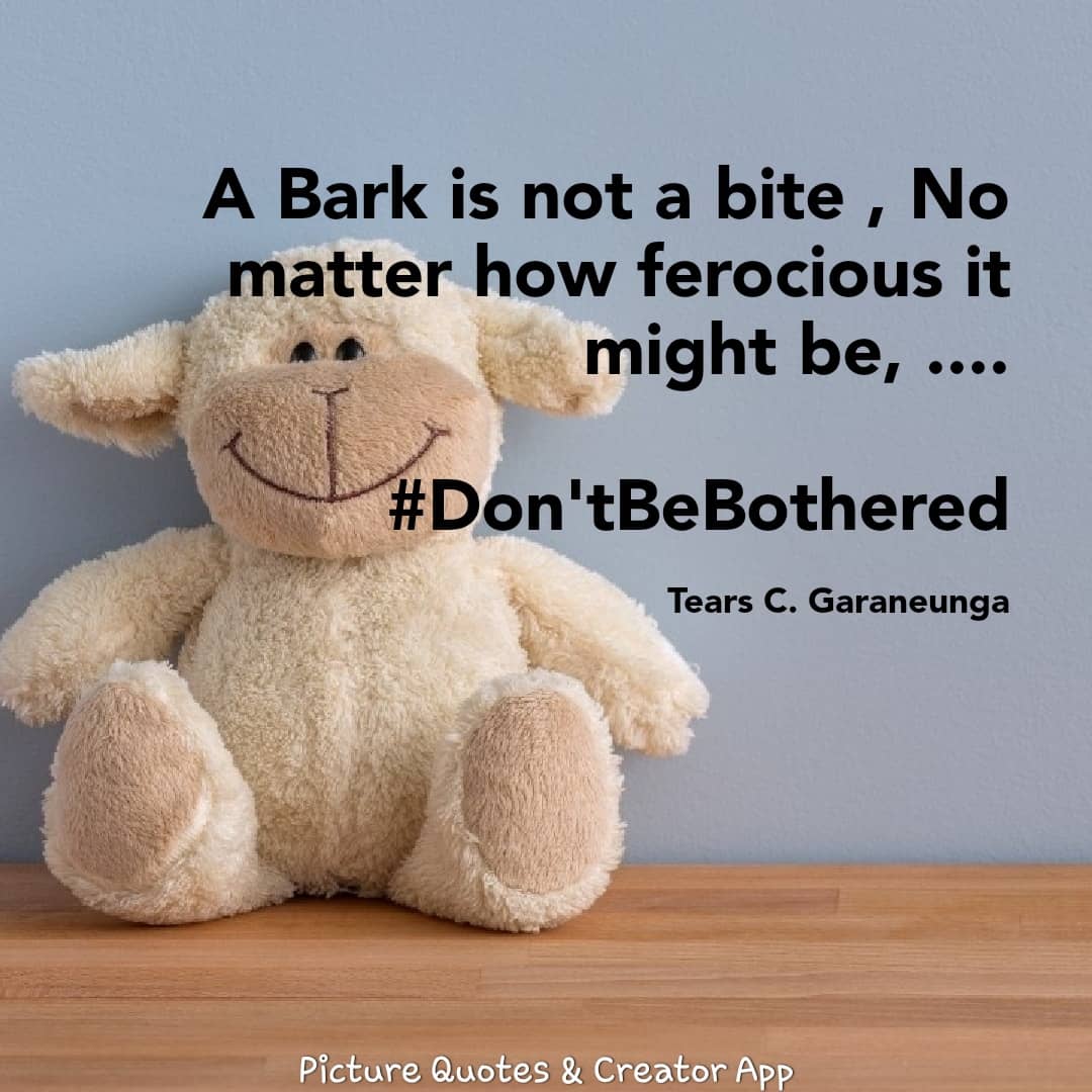 CitadelVictory's tweet photo. #Don'tBeBothered https://t.co/bqZ82LaPzG