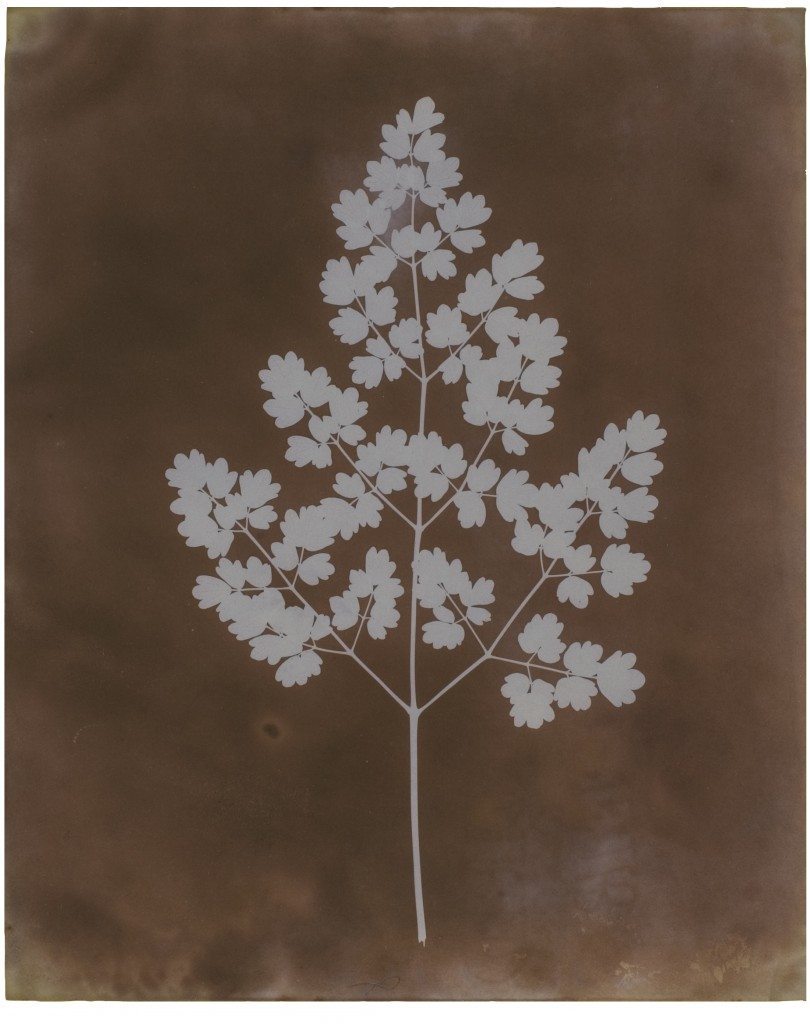 ED441_Histo_art's tweet photo. Appel à candidature : The Sloan Fellowship in Photography (Bodleian Library, Oxford, Bourse pour un séjour de recherche d'un à trois mois)
Date limite de candidature : 30 novembre 2021
https://t.co/TlZkgoS9wo https://t.co/VtH7JpTAuR