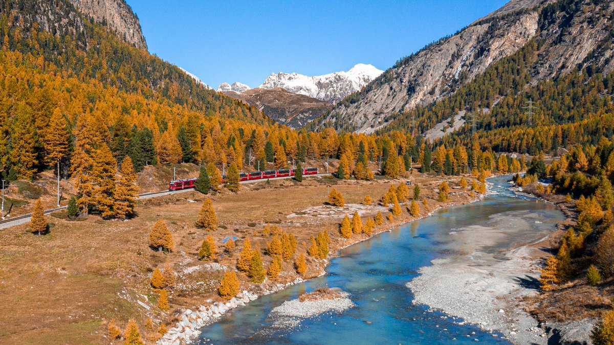 CaveltiPat's tweet photo. 🍂 Herbst 🍂 Der Herbst zeigt sein buntestes Kleid und die Natur macht sich zum Winter bereit. #rhaetischebahn #graubünden #herbst #engadin #berninaexpress #myswitzerland https://t.co/o36fm9sGbu