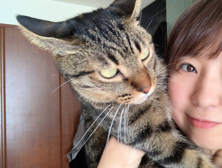 *ayako*bknbლ(❛◡❛✿)ლkazuya tweet media