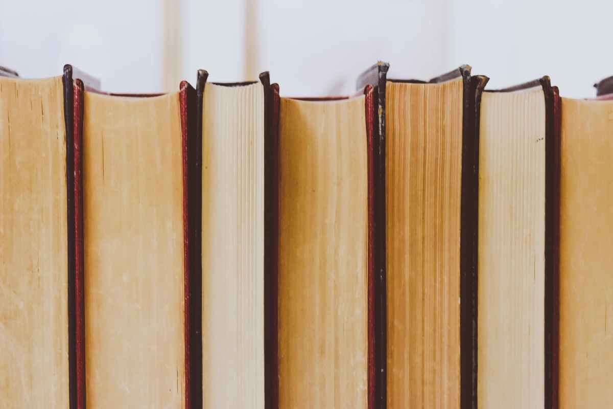 SegueHealth's tweet photo. Sometimes, it's hard to see the light in a situation, whether it's a long-term illness, marital problems, etc. We've compiled a list of Scripture-based books to encourage you when that happens. Because no matter what we are going through, we are not alone. https://t.co/xjqI9FFh0x https://t.co/9zfcd8ZSXF