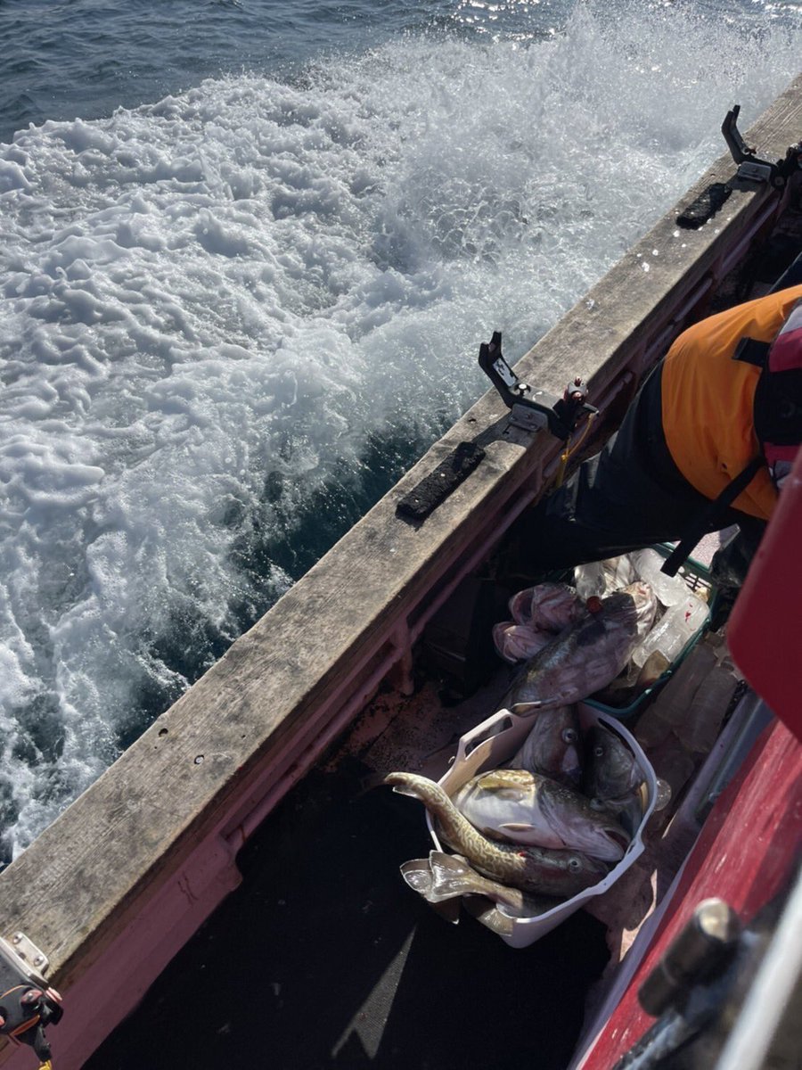 第18喜共丸 18 Kikyou Twitter