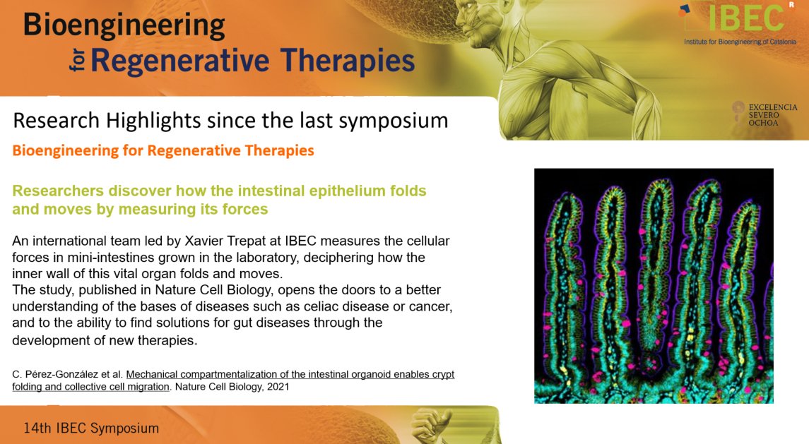 IBECBarcelona's tweet photo. IBEC's Director, Josep Samitier, presents at #IBECSymposium the scientific highlights in the fields of future #medicine, regenerative #therapies and active #ageing generated @IBECBarcelona in the last 12 months. https://t.co/dFUrxx1z2m