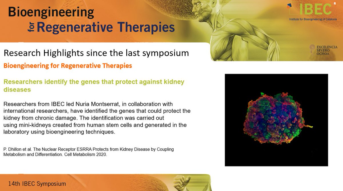 IBECBarcelona's tweet photo. IBEC's Director, Josep Samitier, presents at #IBECSymposium the scientific highlights in the fields of future #medicine, regenerative #therapies and active #ageing generated @IBECBarcelona in the last 12 months. https://t.co/dFUrxx1z2m