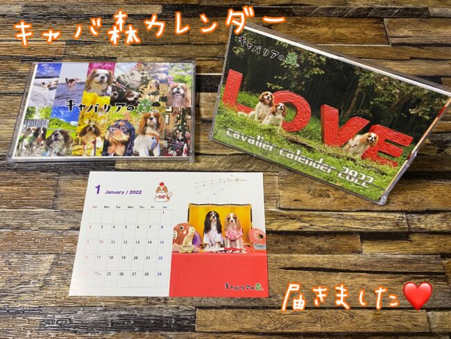 cavaforest's tweet photo. #キャバ森カレンダー2022
について記事にしていただきました！

物凄く読みやすいので是非一度読んでみてください！
オンラインでの発売日は11月前半の予定です。

（写真はブログからお借りしています）
https://t.co/qvEAuxWNFd https://t.co/Oa4P6cBKXq
