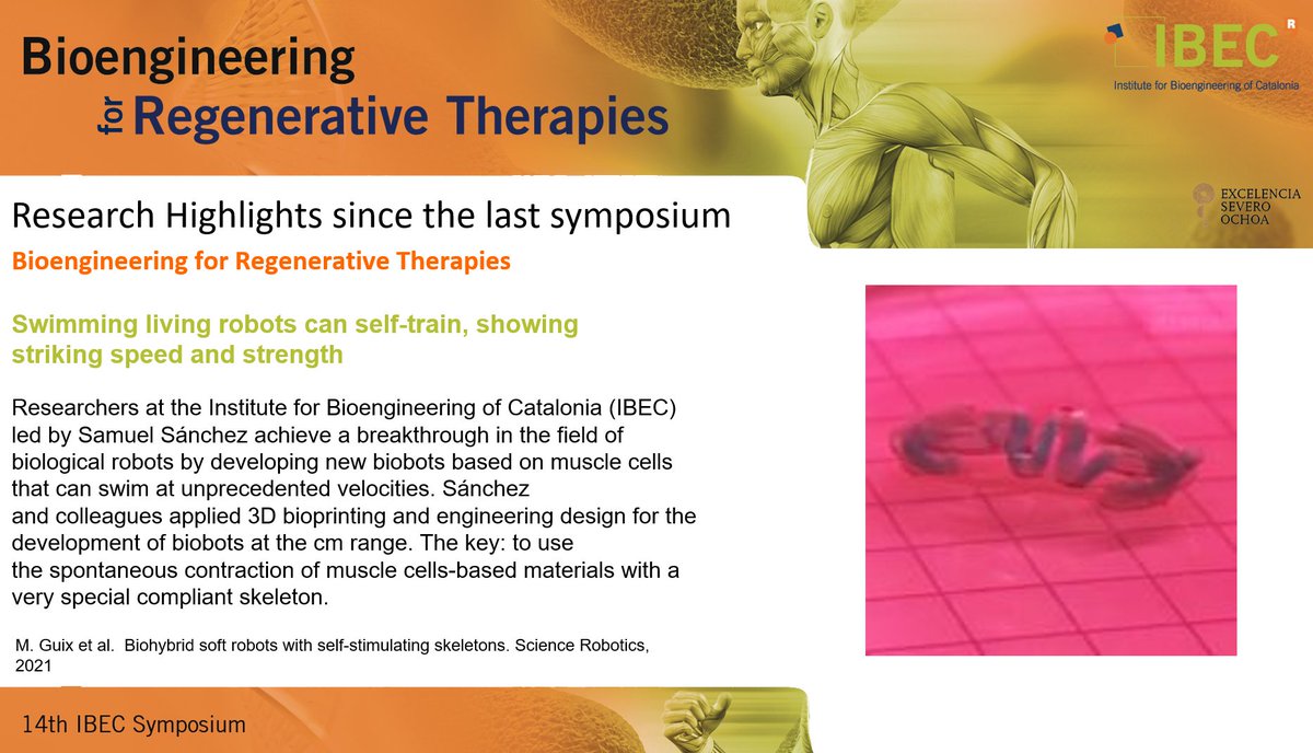 IBECBarcelona's tweet photo. IBEC's Director, Josep Samitier, presents at #IBECSymposium the scientific highlights in the fields of future #medicine, regenerative #therapies and active #ageing generated @IBECBarcelona in the last 12 months. https://t.co/dFUrxx1z2m