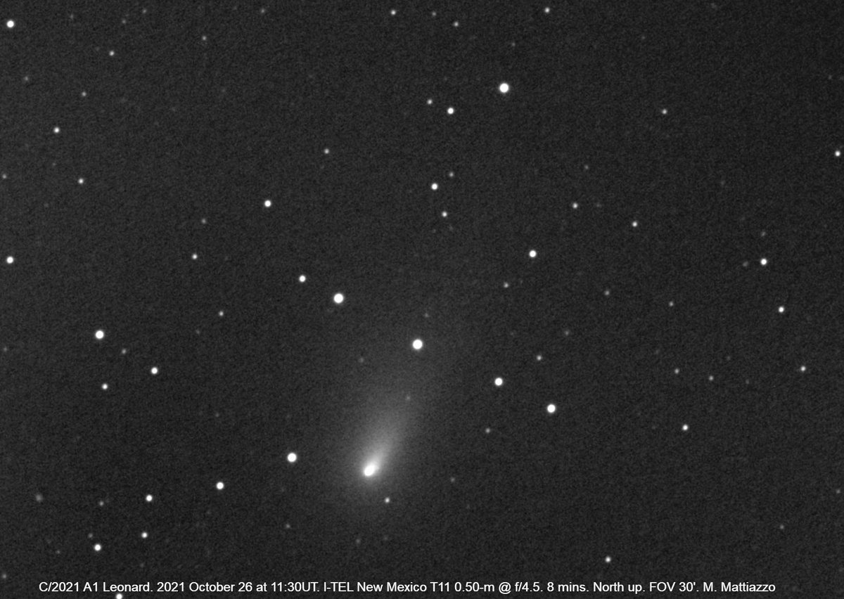 Comet C/2021 A1 Leonard. 
2021 October 26 at 11:30UT. 
I-TEL New Mexico T11 0.50-m @ f/4.5. 8 mins. 
North up. FOV 30'. 
Now in the 11th magnitude range.
Dust tail approximately 6' north