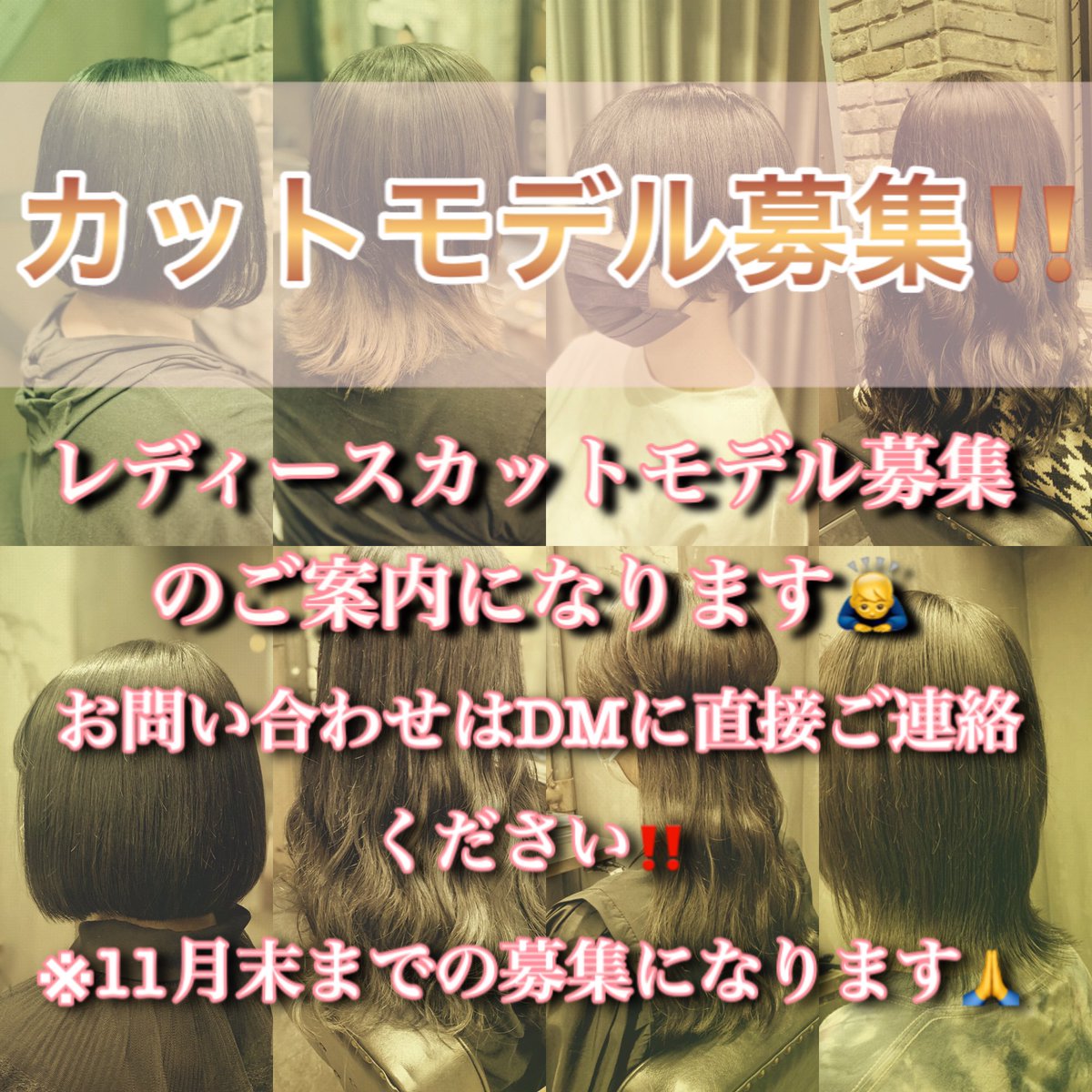 カットモデル募集