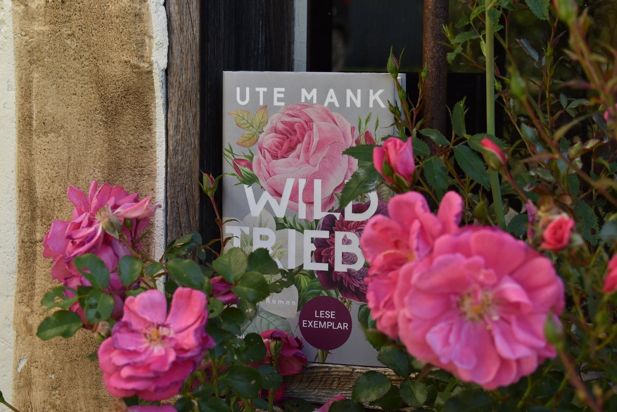 "Wildtriebe" ist sprachlich wie inhaltlich ein Highlight für mich. Mit einem feinen Sinn für menschliche Gefühle und Bedürfnisse, skizziert Mank drei Frauen unterschiedlicher Generationen und der Konflikte, die durch ihr Zusammenleben entstehen.
nannisraeuberleben.de/2021/10/wildtr…