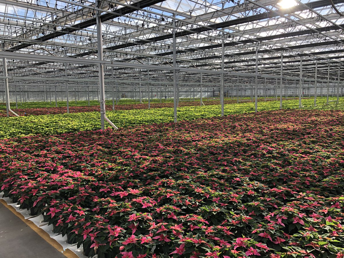 AlanF-Battlefieldfarms tweet media