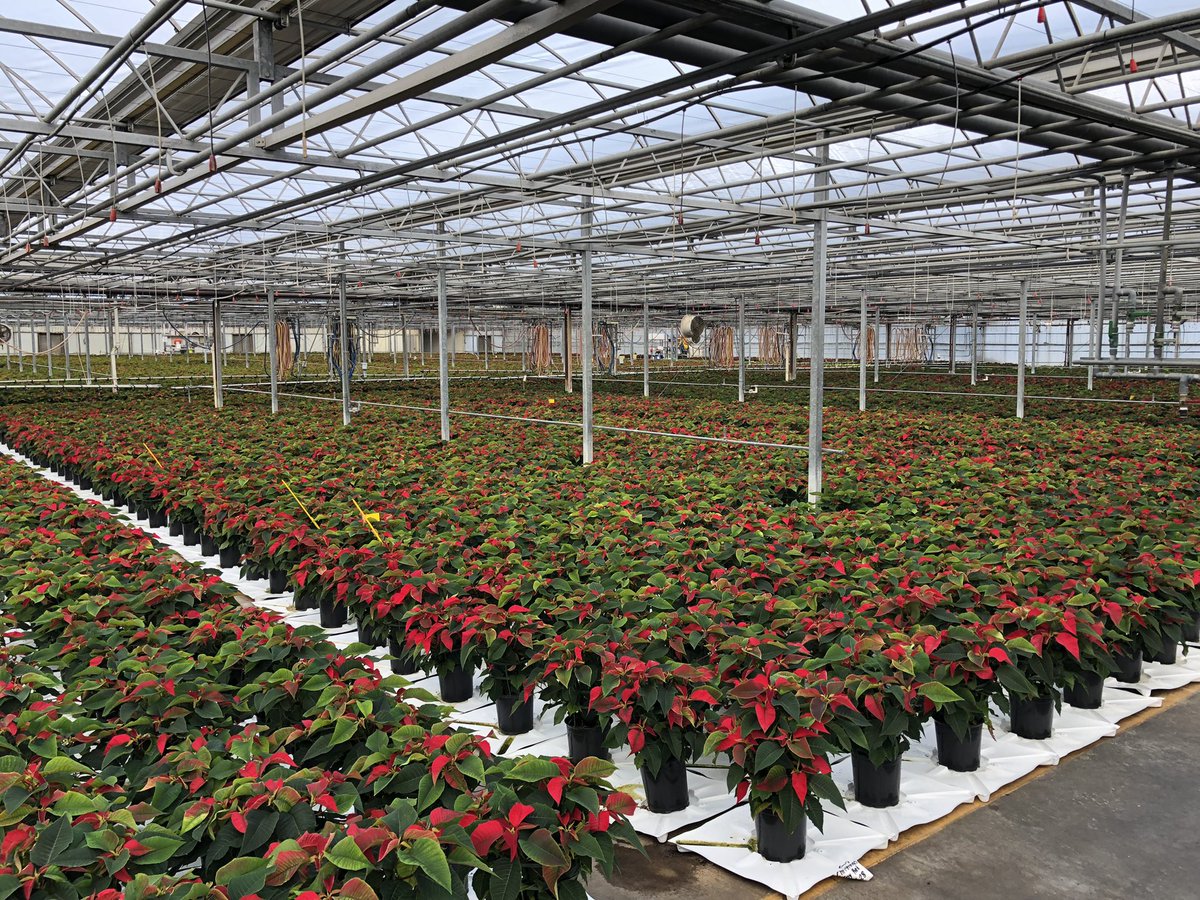 AlanF-Battlefieldfarms tweet media