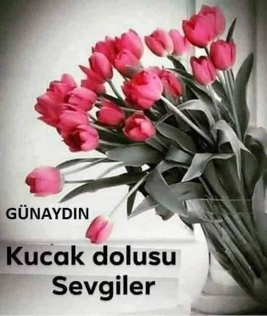 <a href="/Sitare571/">Es-Sükût 💫</a>