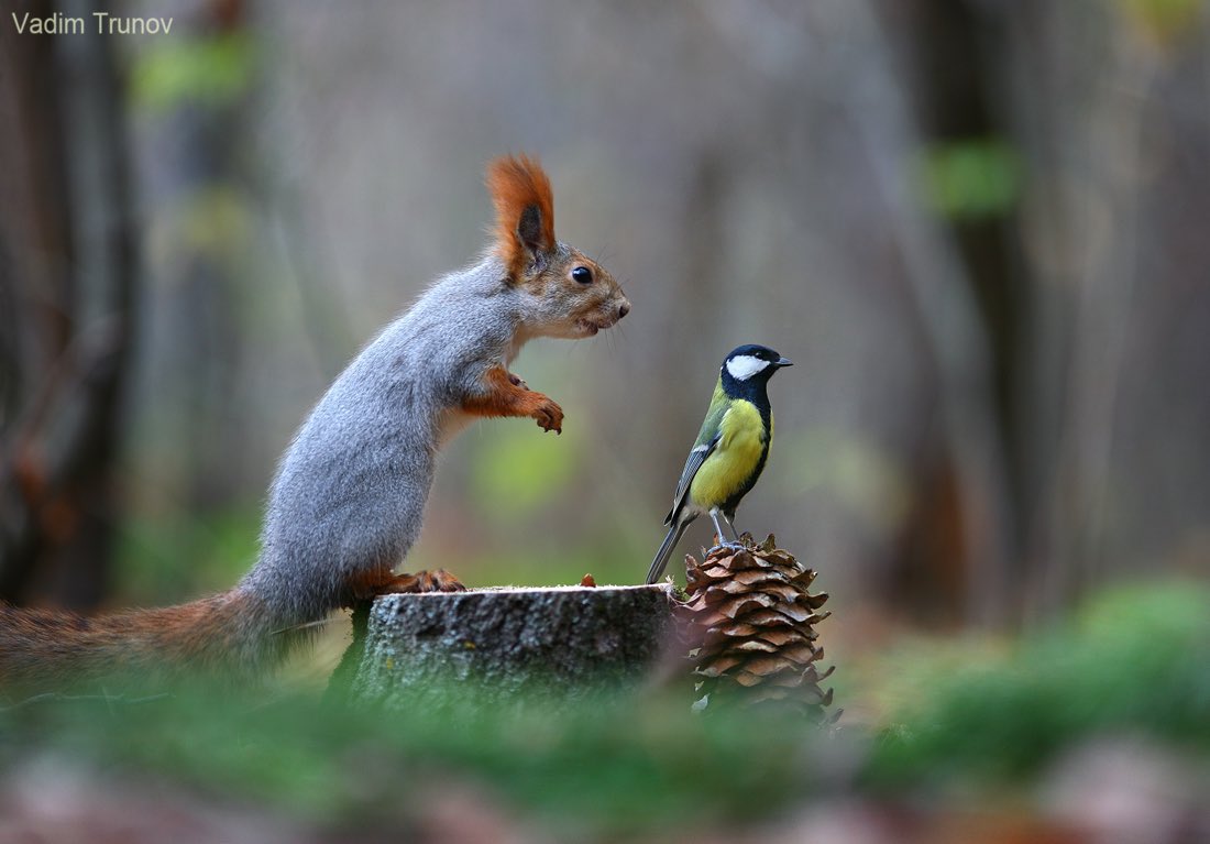 Happy Wednesday Everyone, it’s middle of the week time. 😊 Have a beautiful day. Stay Safe &amp; Take Care. 💞🌺💕 #NaturePhotography #nature