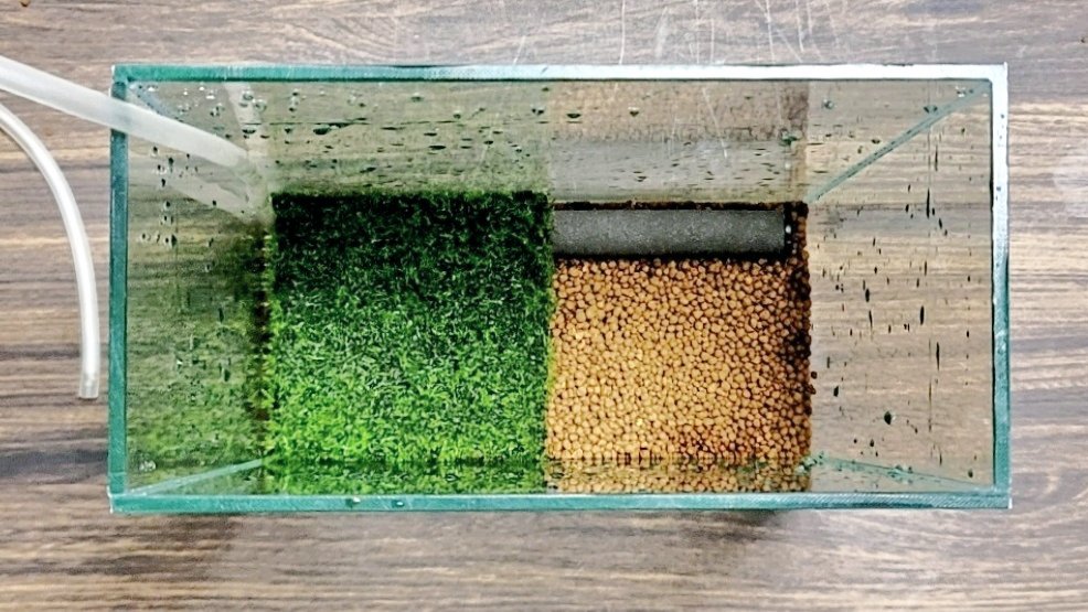 Etiqueta モスマット En Twitter