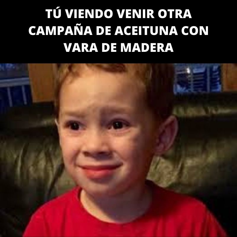 Con los vareadores tan apañados que tenemos en Lerma son ganas de pasarlo mal, vaya...🙄

👉 comerciallerma.com
📞 953 22 71 51
📍 C/ Escañuela, 7 P.I. de Los Olivares, Jaén

#ComercialLerma #Maquinaria #Vareadores #Gancho #Peine #Aceituna #Olivar #Jaén