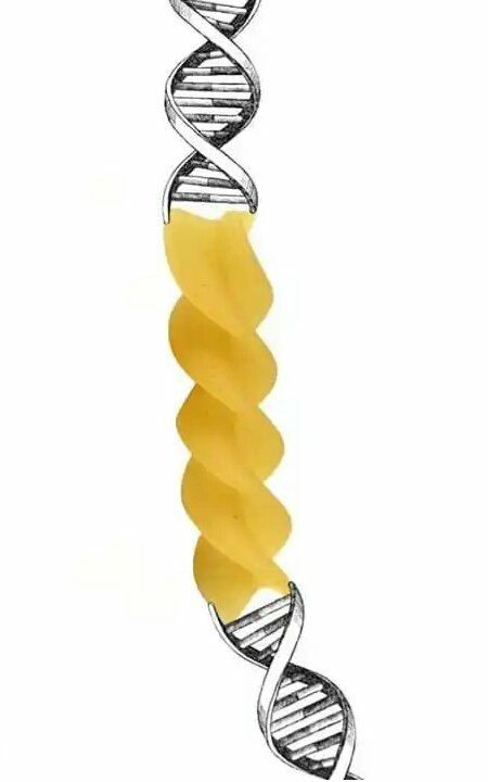 <a href="/NoContextSag/">No Context Sağcı</a>