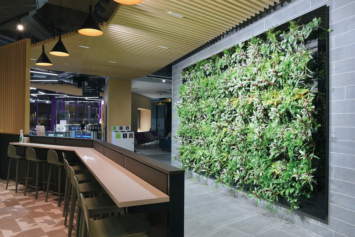 Felix O'Hare &amp; Co juggle the old and new in 'live' <a href="/AIBIreland/">AIB</a> strip and fit out! 🛠️ The project included work from <a href="/brahamelectric/">Braham Electrical</a>, <a href="/ElectroGroupLtd/">Electro</a>, <a href="/kcc_group/">KCC Group</a>  and more!
See the full project in our latest issue! 👇 bitly.com/3CeQUq5
#fitout #aib #construction #belfast
