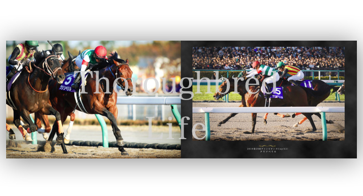 sala__art's tweet photo. クリソベリル写真集はクラウドファンディング！●目標まで残り23冊！
●サラブレッドライフHPにて受付中♦期間限定価格11/21(日)迄
●口取り写真掲載対応●ハードカバー210×210mm●他マグカップ・トートバッグなど
#サラブレッドライフ
https://t.co/ME1yQv1gFp
#クリソベリル   
#キャロットクラブ https://t.co/xdlxgmRlDH