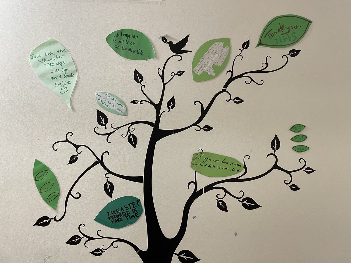 nicoletta_lekka's tweet photo. Messages of #Hope and #Support ☀️🌟☀️ Thank you #StanageTeam for all #Safewards interventions!
#DischargeTree #Recovery #MentalHealth #InpatientMentalHealth https://t.co/dARnLNR17v