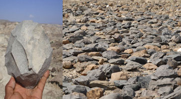 hawelti's tweet photo. Good Read: What do we know about the one million year old #Eritrean Homo Sapiens? by Dr. Tsegai Medin

"Discovery of this complete skull was scientific breakthrough.  To date, evidence of complete skull of Homo dating from 1.4-0.65 Million years is scarce"
https://t.co/KOzVf9uoVf https://t.co/IFJ3daHmsT