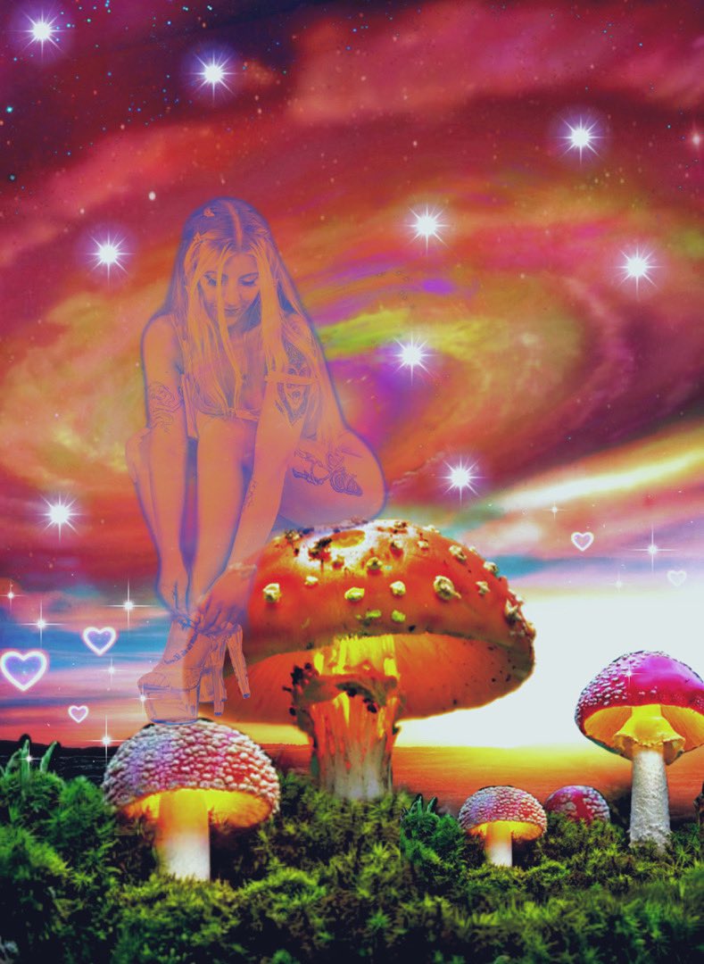 Juicybutterfly2's tweet photo. upgrade from netflix & chill.. mushies & contemplate the vastness of the universe ? 🍄✨ #fairy #ethereal #mushrooms #trippy #sexwork #queenoftheuniverse #continuumtransfunctioner https://t.co/Xdja776eiW