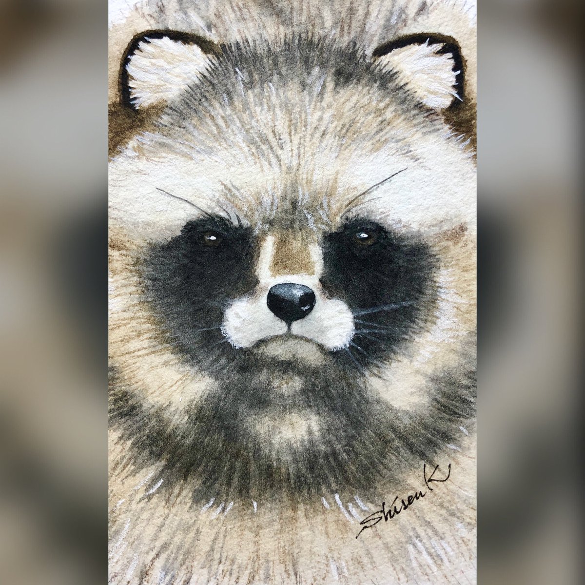 Twoucan たぬき の注目ツイート イラスト マンガ