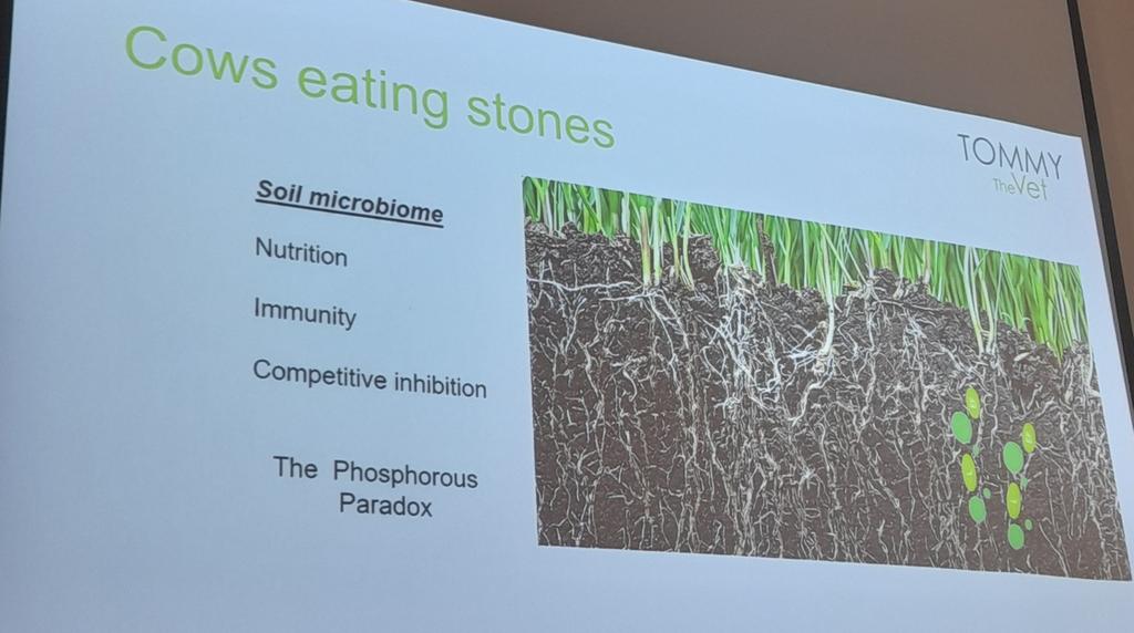 AgScience's tweet photo. Cows eating stones? @tommythevet explores the soil microbiome and the key role it play to all systems and why he seen cows eating stones. https://t.co/jNzVbuSM8g