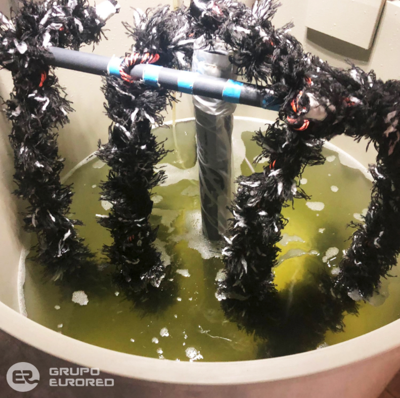 IPacuicultura's tweet photo. Grupo #Eurored suministra al proyecto #MusselGo sus cuerdas de captación para la primera fase del cultivo de #mejillón en criadero https://t.co/lMktVpnJYt
La nueva tecnología de cuerdas incluye nuevos materiales y desarrollos en el proceso de confección #acuicultura https://t.co/Gg0HRz7q5N