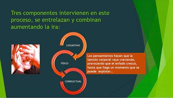 Somos_betania's tweet photo. La ira funciona como un bucle o espiral que la hace crecer progresivamente. Es importante conocer los primeros indicadores que reflejan que está aumentado para poder frenarla. Eso es lo que han practicado los participantes del PRIA-MA en esta sesión.
#NHB #ira #PriAma #practicas https://t.co/aceYF0CEQs
