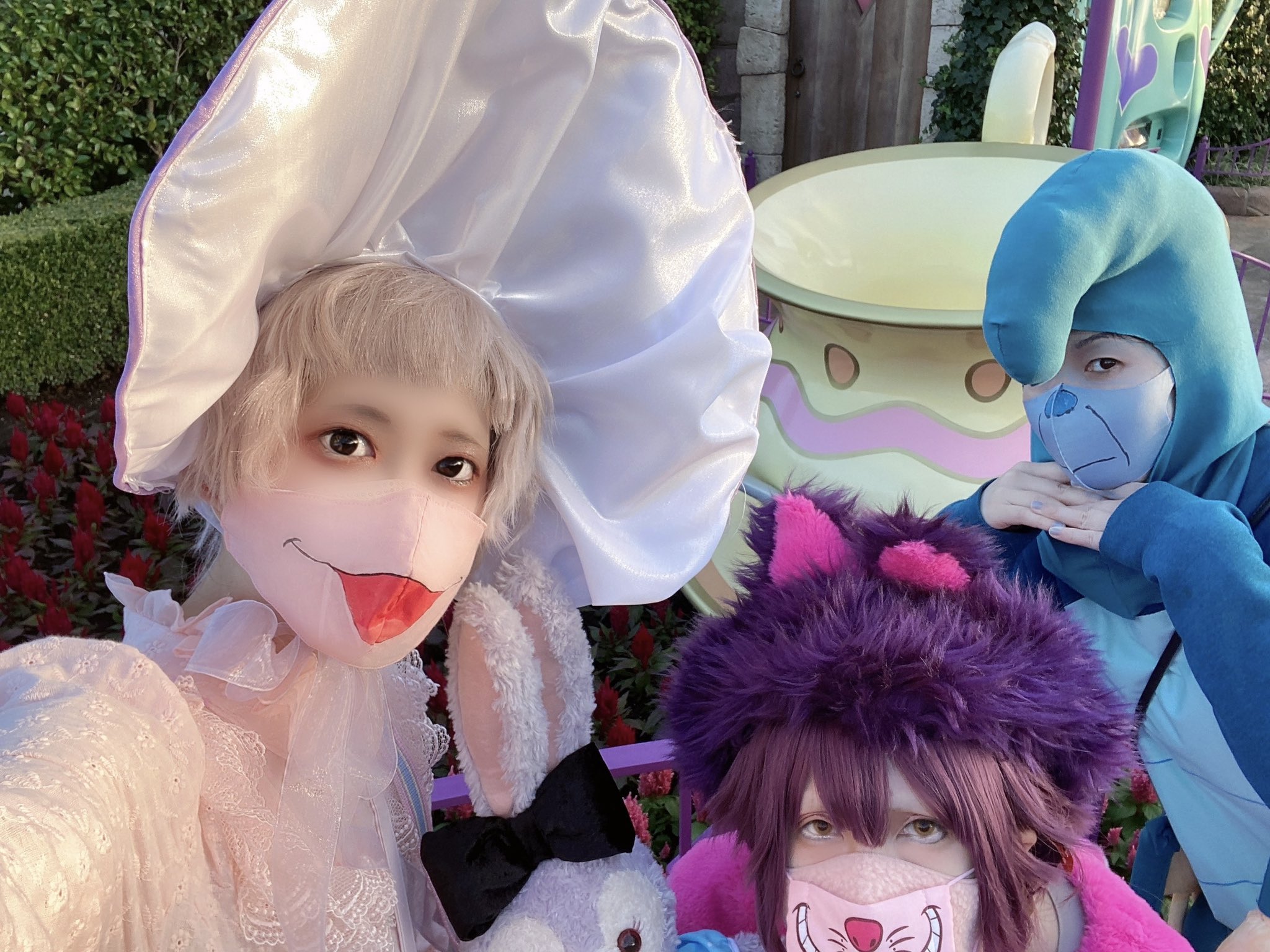 酉がらこ🐰 on X: 