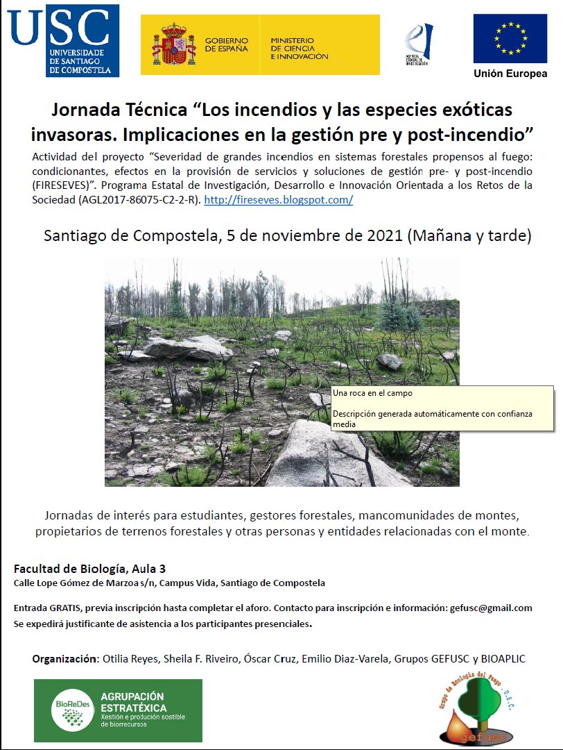 BioReDes (Strategic Grouping of Bioresources USC) tweet media