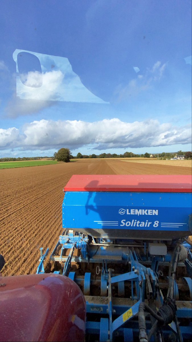 Semis de blé 🌾 précèdent PDT 🥔
