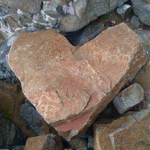 kimburick's tweet photo. Bilin bakalım bu kimin kalbi https://t.co/UPV1tZhWwt