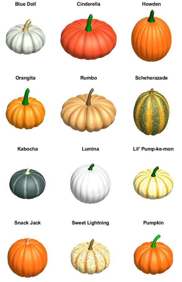 MATLAB's tweet image. Get the code to make pumpkins in MATLAB! spr.ly/6017Jra7d #coding #coder #getcode #codinglife