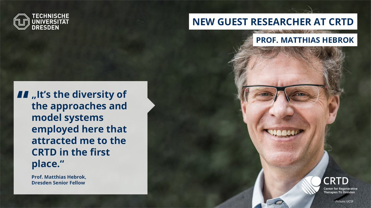 We warmly welcome Prof. Matthias Hebrok, diabetes expert from <a href="/UCSF/">UC San Francisco</a> as a guest researcher at the CRTD. Supported by the Dresden Fellowship Program <a href="/tudresden_de/">TU Dresden</a>, Prof. Hebrok will stay at CRTD for the winter semester of 2021.

Read more ➡️ bit.ly/317eyXW

#CMCBnews