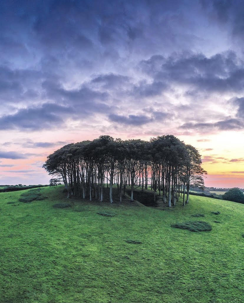Nearly home 😍

Who's driven past these trees on the way to Cornwall this year? It's a sight that always makes us smile!

📷: theobscuredrone via Instagram

#cornwall #lovecornwall #nearlyhome #nearlyhometrees #falmouth #lovefalmouth #travel