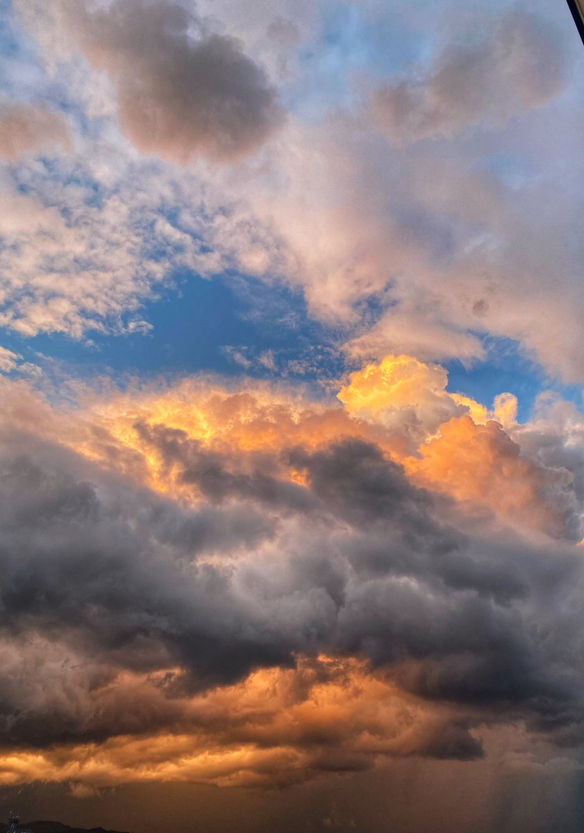 Marexada SL tweet media