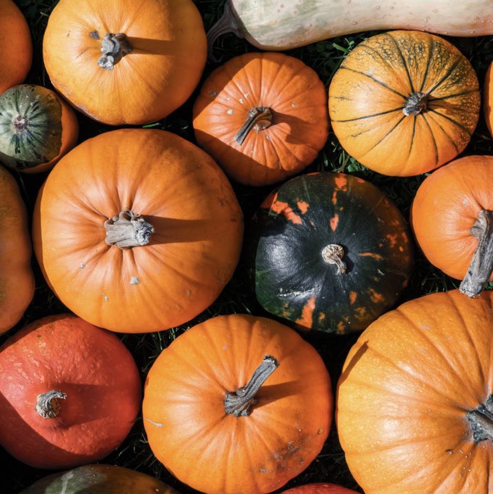 Foodari's tweet photo. We’re a day late to the party for #WorldPumpkinDay, but our pumpkins from local grower Dan Mackledon at Lested Farm in Maidstone and our mixed squashes from Dickie Ovenden at Green Lane Farm should be celebrated all season long! https://t.co/91RbHdasUb
