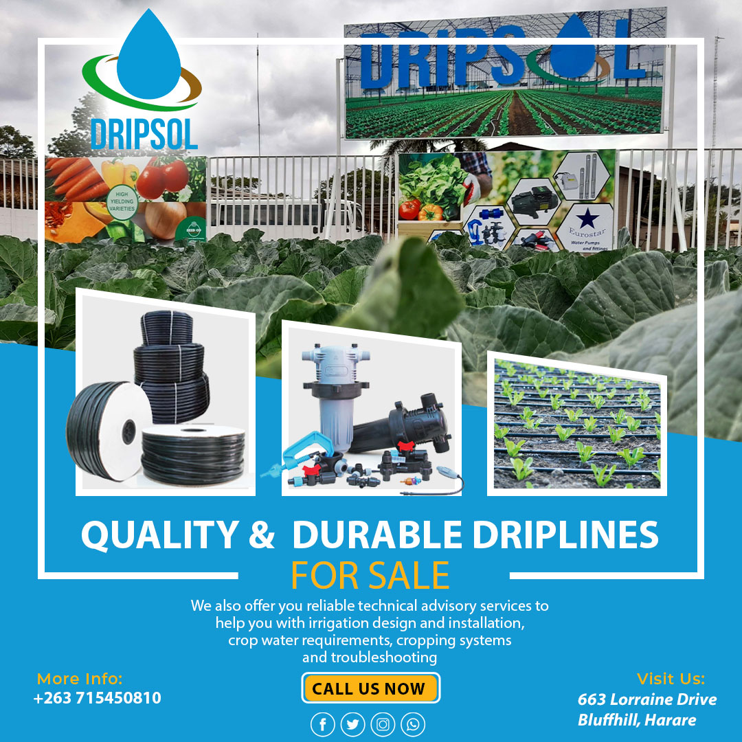 dripsolutionzw's tweet photo. For all your Quality and Durable Driplines!! 
Fix and supply of Drip Irrigation systems. We also offer irrigation design and installation, crop water requirements, cropping systems and troubleshooting!!
Call us today: +263 715450810 https://t.co/NqLW3qQxC7