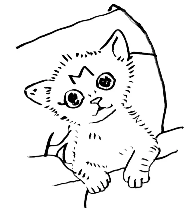 人様のお家のポヤ毛…… 