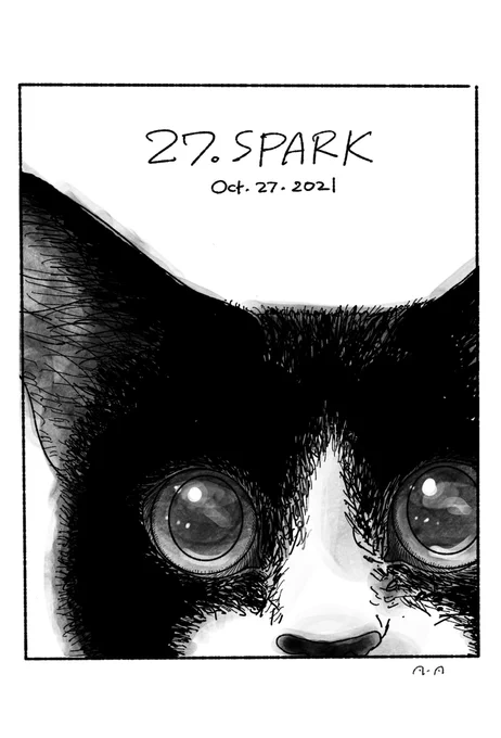 27日目のお題"spark" ✨飼い猫がキラッキラな瞳で見つめてきたら逃げることにしてる。このあと狩りごっこ始まって襲って来るから。 #inktober2021 #inktober2021day27 #inktober #インクトーバー2021 #インクトーバー