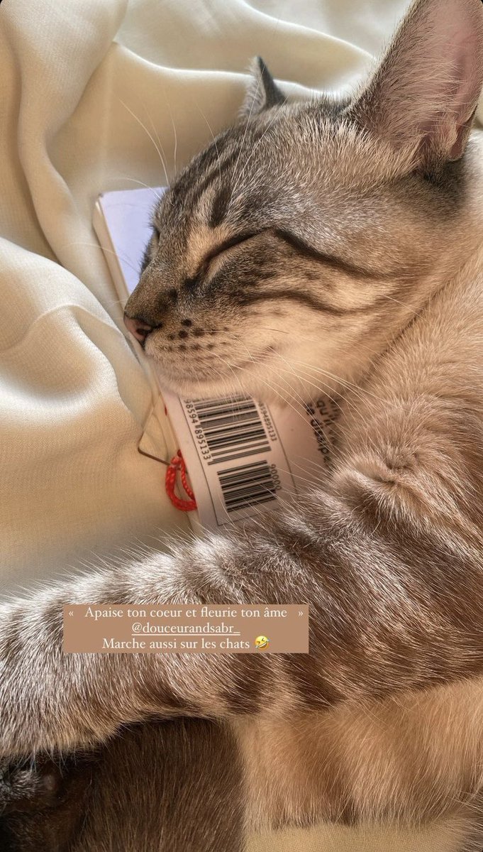 Sache que dans cette épreuve, ton Seigneur ne t’a ni délaissé ni abandonné ♥️