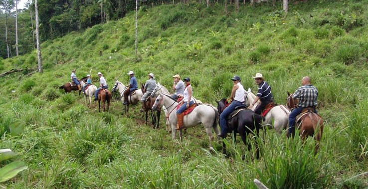 Te proponemos una ruta por #CostaRica  para que descargues #adrenalina . 
kikahle.travel/tours/aventura…
#visitcostarica #viajesacostarica #tipsdeviajes #instaviajes #viajesdepareja #viajesdeaventura #travelling #viajespersonalizados #viajesamedida #viajarconkikahle #KikahleTravel