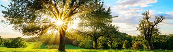 Decera Clinical Education tweet media