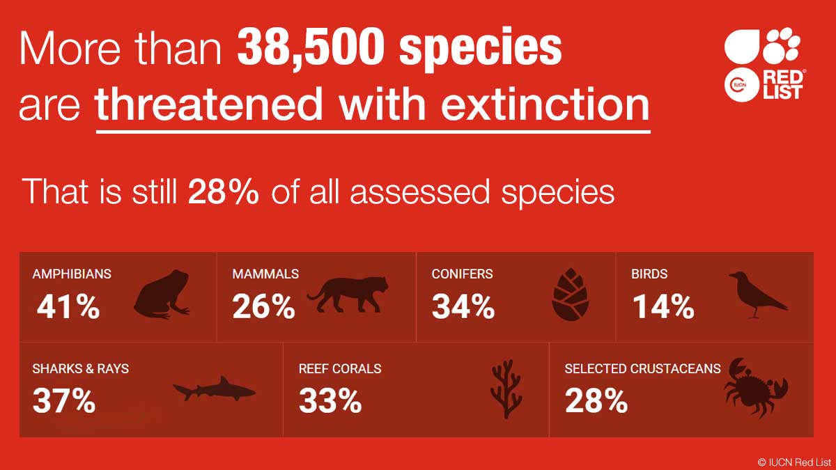The number of assessed species on the <a href="/IUCNRedList/">IUCN Red List</a> is now 138,374 with over 38,500 threatened with #extinction.

Discover more about their status and what can be done ow.ly/JbCg50ErZY2