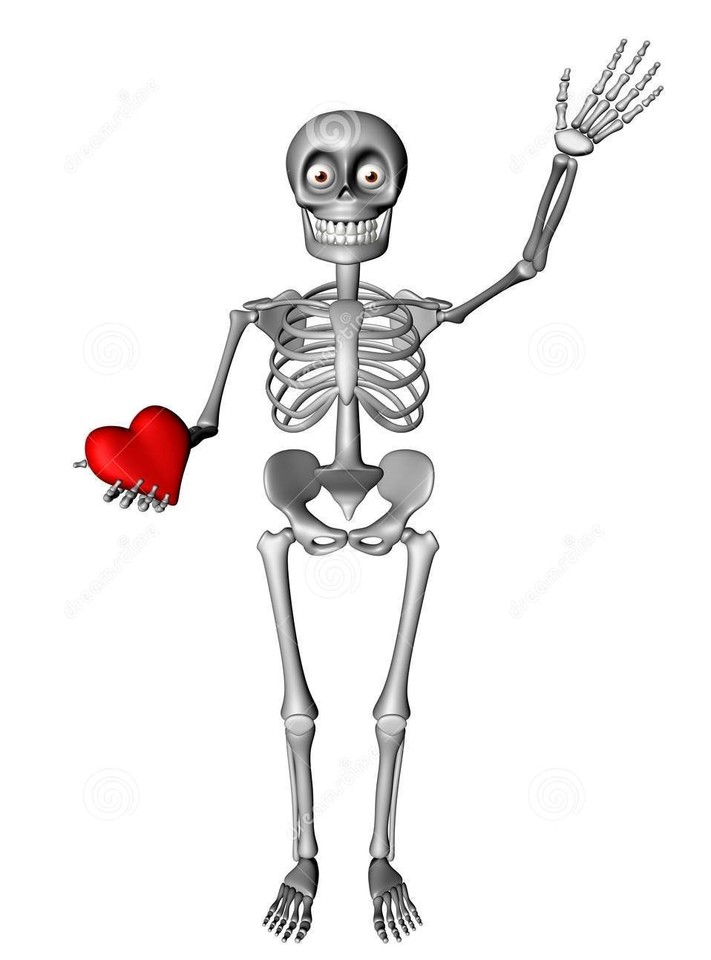 скелет человека. скелет рентген. скелет машет рукой. спасибо за внимание анатомия. прочный скелет.