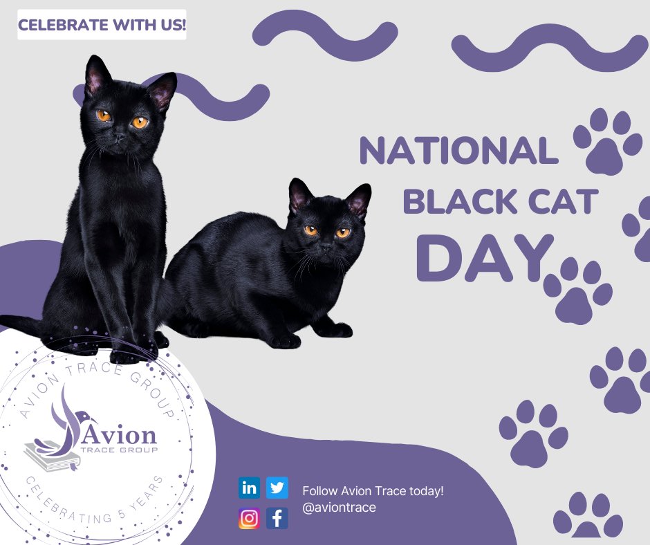 AvionTrace's tweet photo. Happy #National #Black #Cat Day! At #AvionTrace we love our #cats!
One of our employees has housed and rescued dozens of cats in her lifetime and she shows no signs of slowing down!
#CatsOfSTEM #CatsOfAviation #Aviation #WomenInAviation #CatsInAviation #STEM #BlackCat https://t.co/VQjHHCtZxV