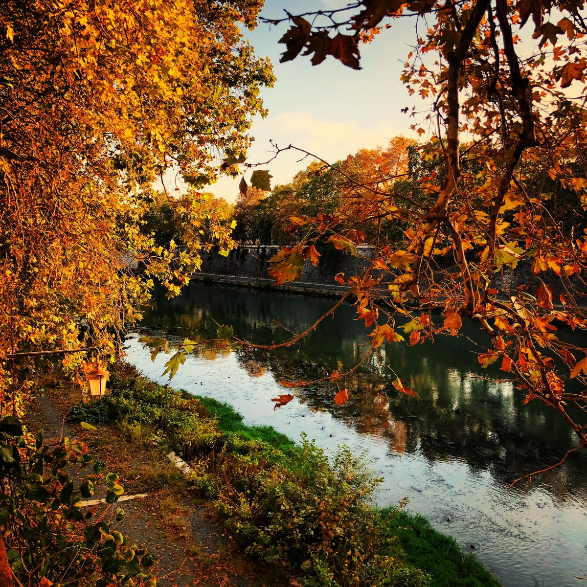 L’Autunno romano🧡
#autumninrome #lungotevere #foliage #autumnvibes #myrome #landscapephotography #urbanphotography