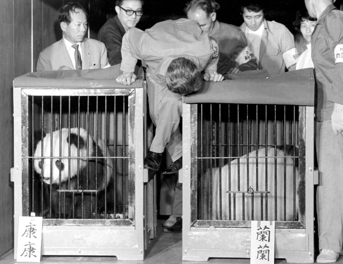 おはようございます今日は10月28日木曜日です本日は1972年に中華人民共和国から日本に贈呈されたパンダ「カンカン」と「ランラン」が上野動物園に到着した日11月5日に一般公開され、大フィーバーに。長さ2kmにわたる2時間待ちの行列で、観覧時間はわずか30秒だったとか今日も良い一日を 
